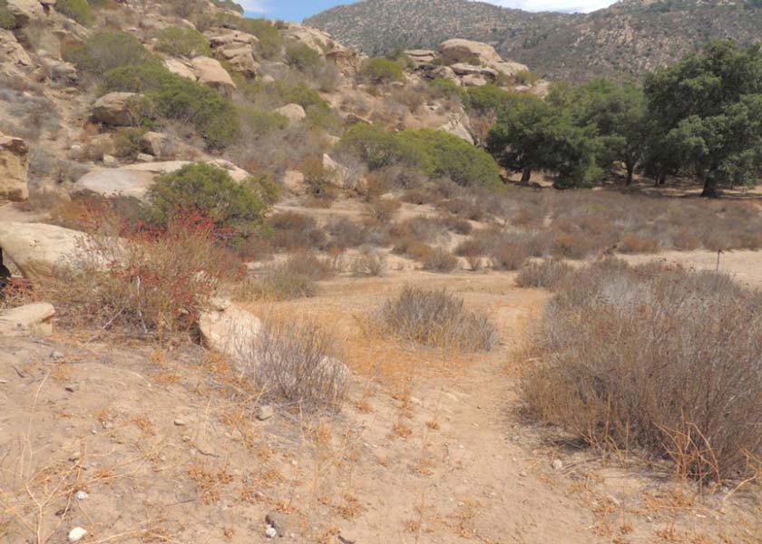 Ruins of Corsican Village, Corriganville