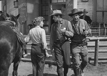 The Boy from Oklahoma (1954)